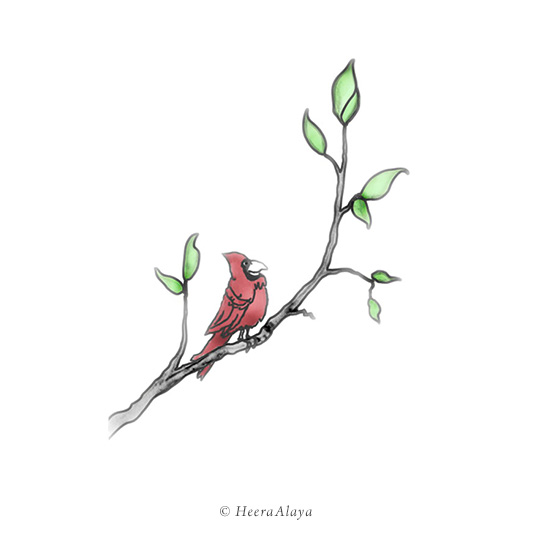 HeeraAlaya_Individual_Cardinal