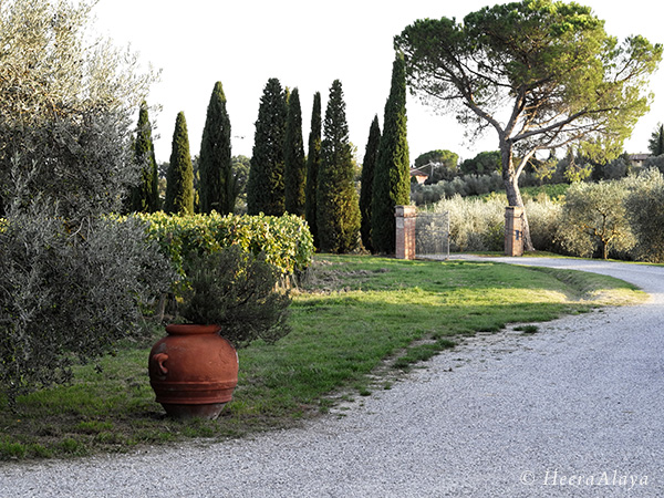 HeeraAlaya_Podere-il-macchione_Simone-Abram2