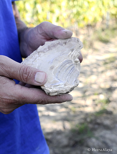 HeeraAlaya_Podere-il-macchione_Simone-Abram5