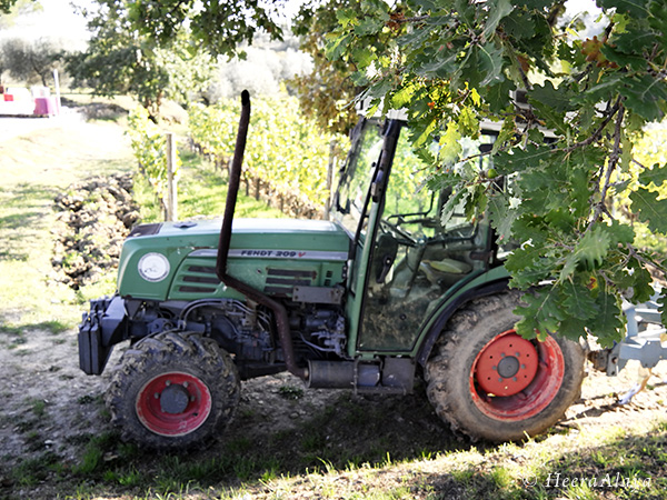 HeeraAlaya_Podere-il-macchione_Simone-Abram9